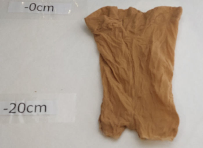 SHEER FLESH STOCKING SHORTS