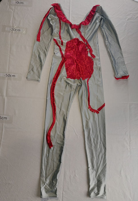 GREY AND MAROON BODYSUIT NYLON LONGSLEEVE