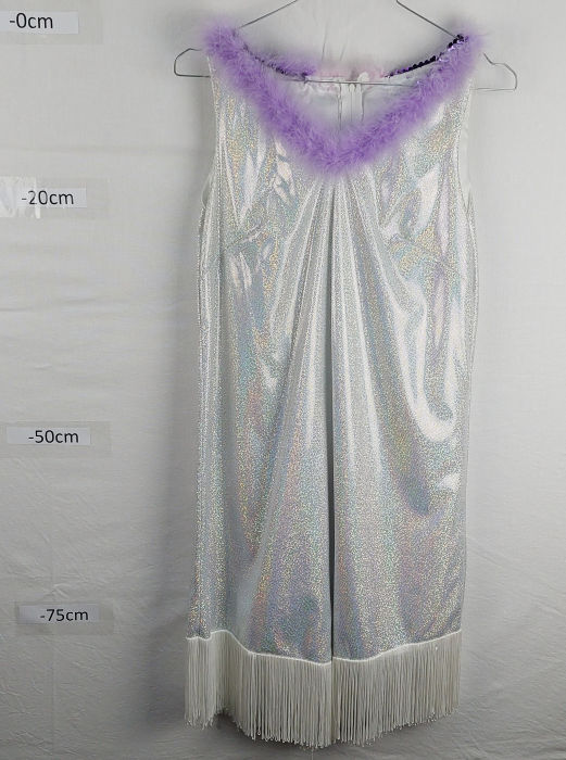 SILVER CHARLESTON FLAPPER DRESS