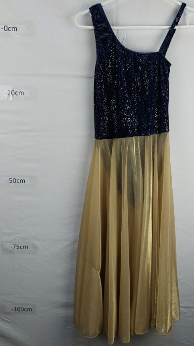 GOLD AND NAVY  TUNIC WITH LONG SKIRT