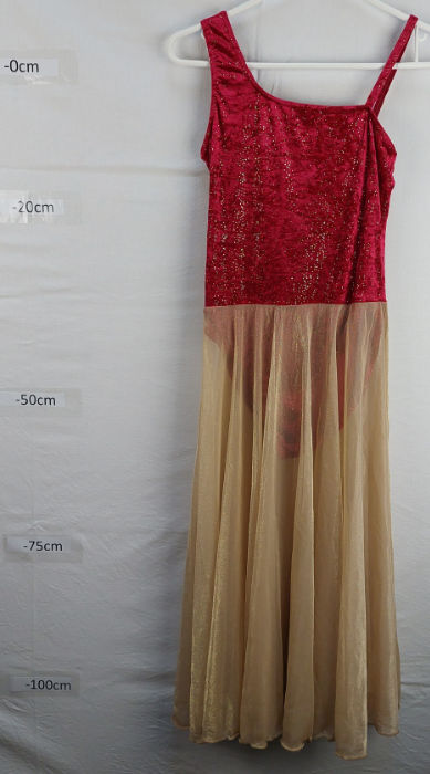 MAROON AND GOLD TUNIC WITH LONG SKIRT