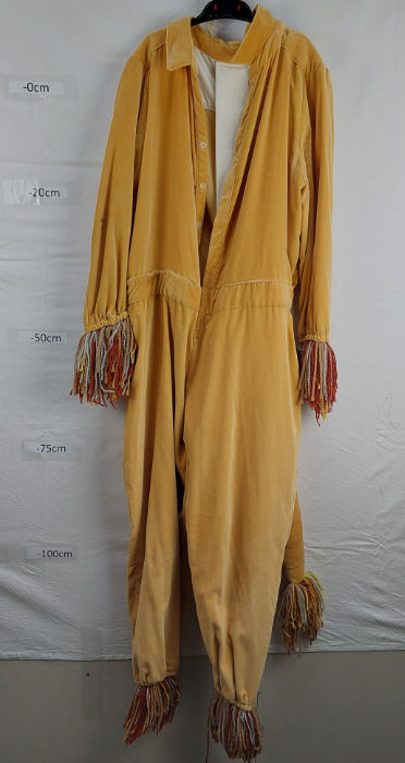 ANIMAL FUR LION BROWN