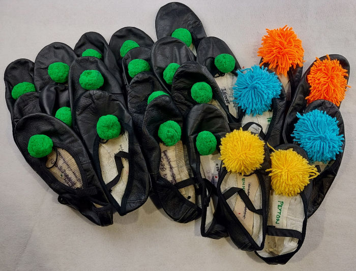 CARNIVAL, CIRCUS, FESTIVAL BALLET SHOE