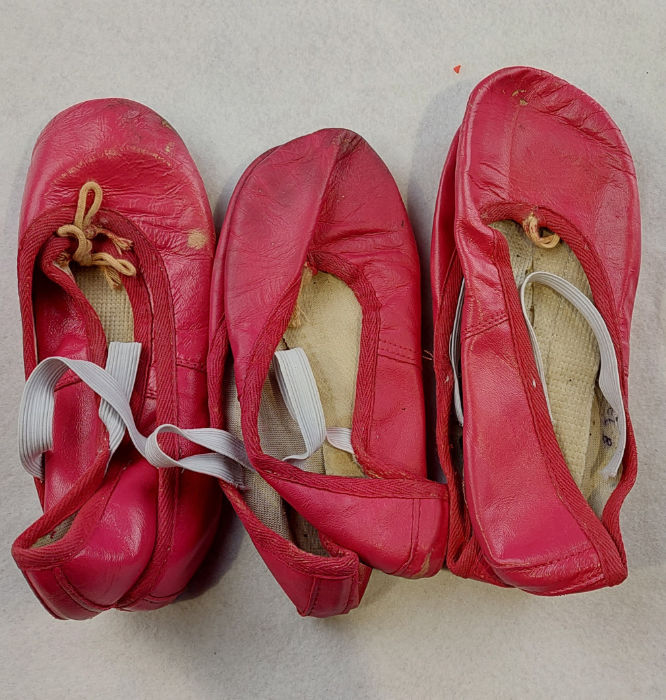 PINK BALLET SHOES
