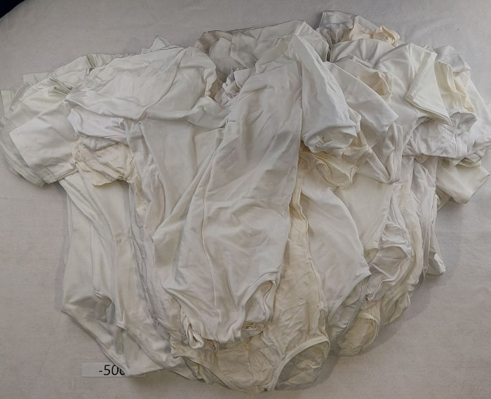 SHORTSLEEVE WHITE LEOTARD NYLON 