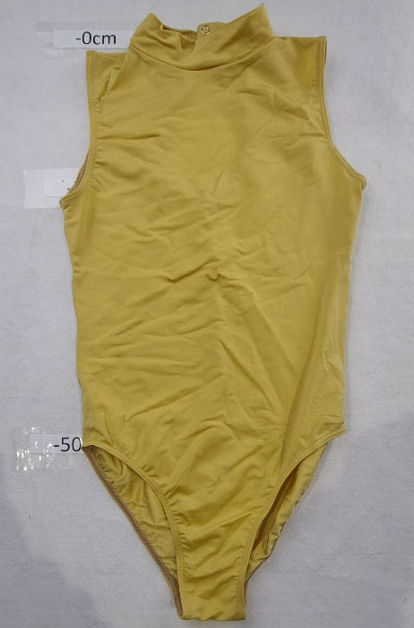 GOLD LEOTARD 