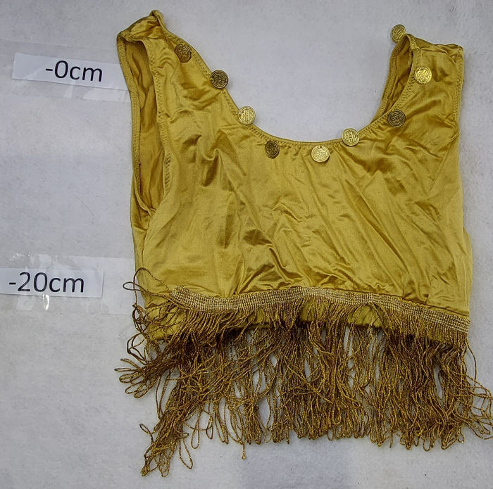 Arabian Gold top with tassles and Coins