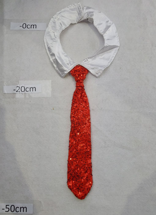 Sequin Red Tie with white collar