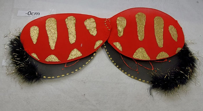 INSECT WINGS RED AND BLACK