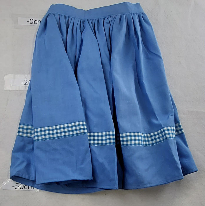 BLUE SKIRTS