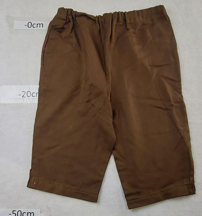 BROWN SHORTS