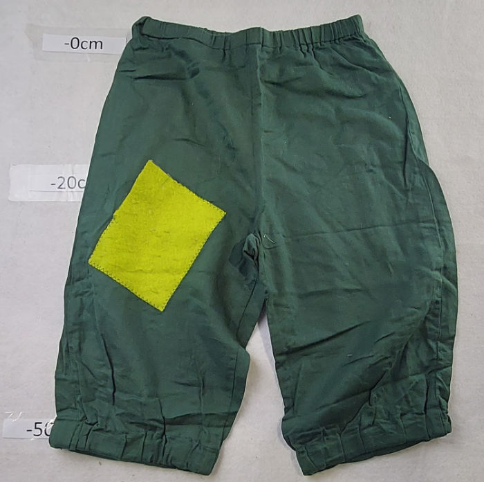 GREEN PATCH SHORTS