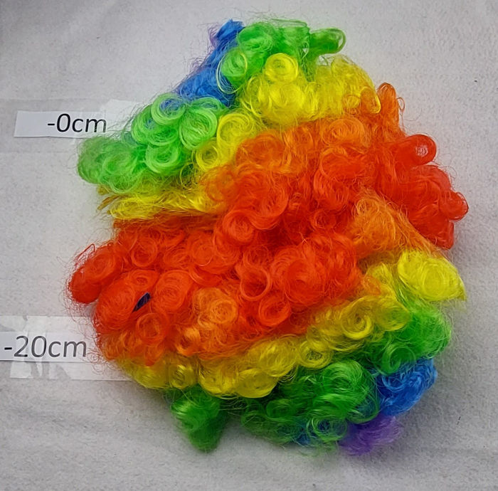 CLOWN WIG