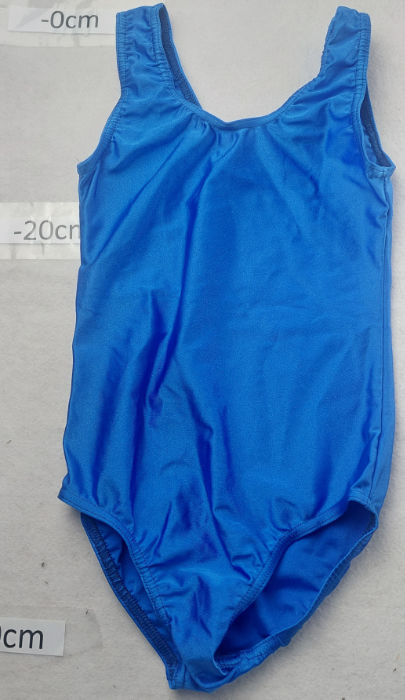 BLUE LEOTARD